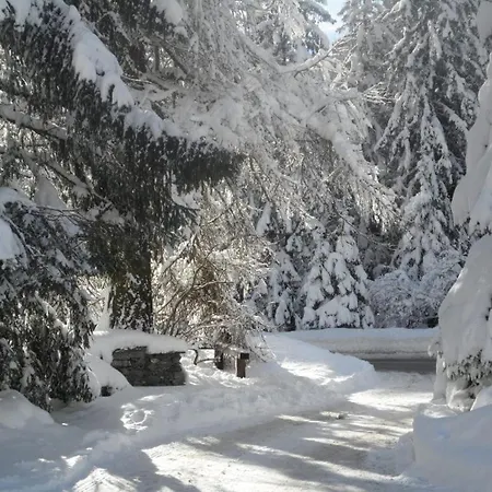 Monte Cervino 3*