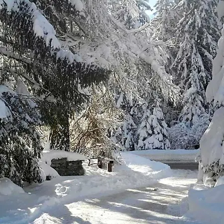 Monte Cervino Champoluc